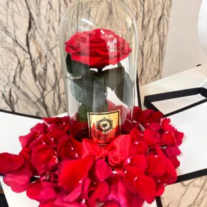 Rosa preservada en caja de lujo